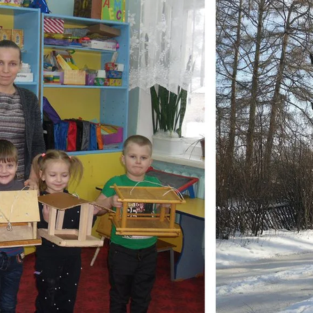 «Помоги птицам»